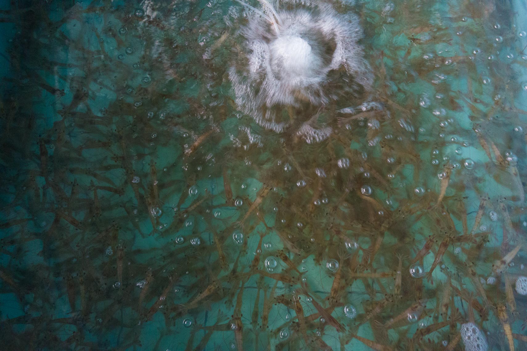 20150911_Thailand_150