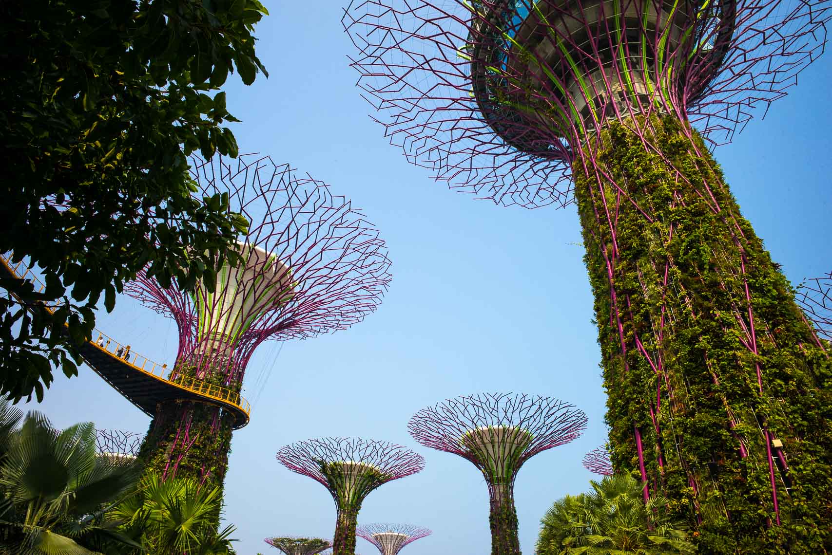 20150919_Singapore_256