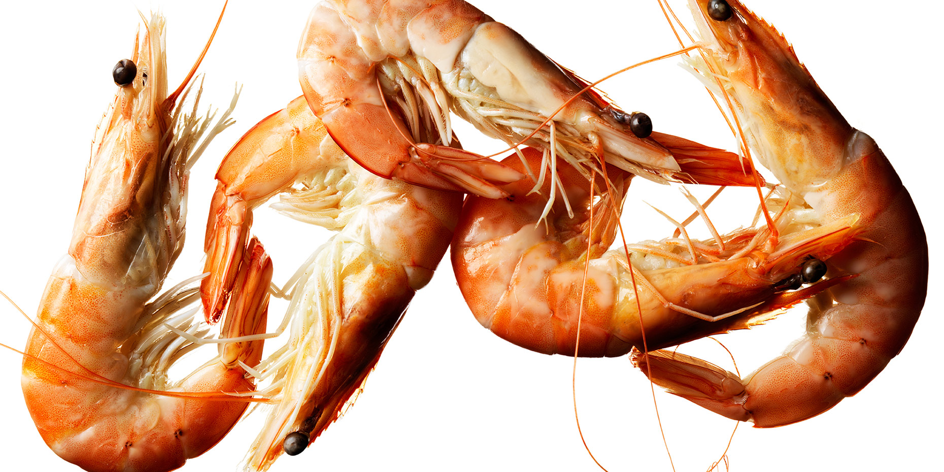 CFWC_Food_0091