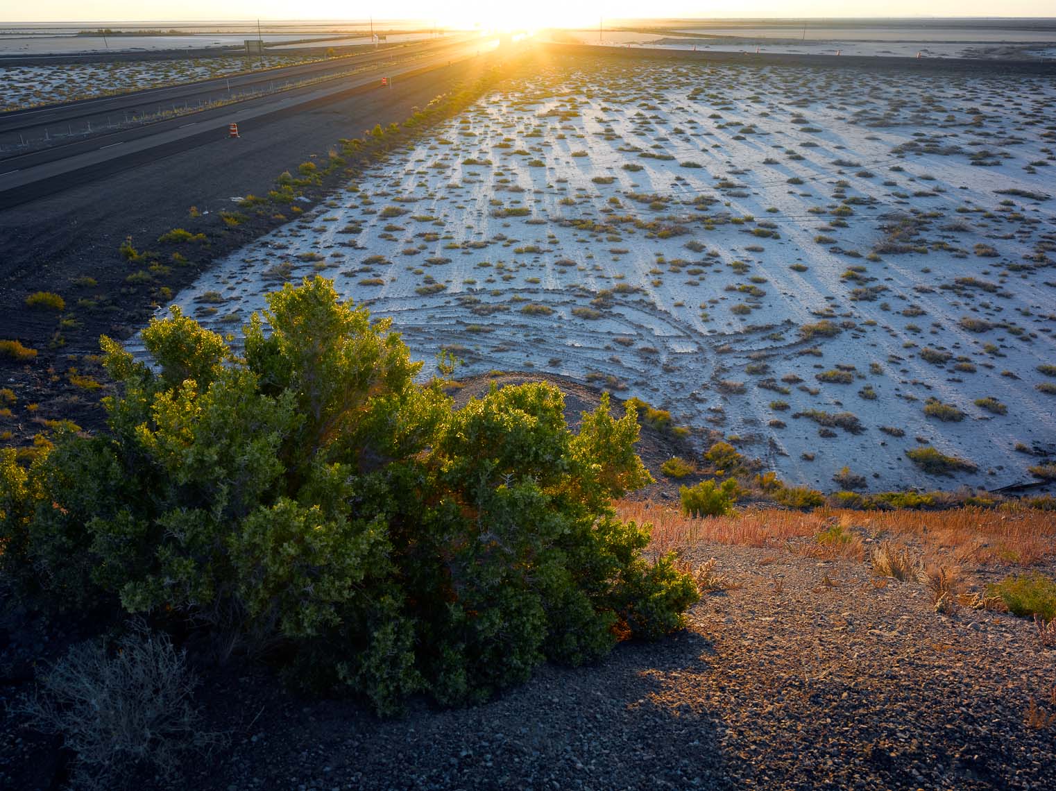 Great_Salt_Desert_074.jpg