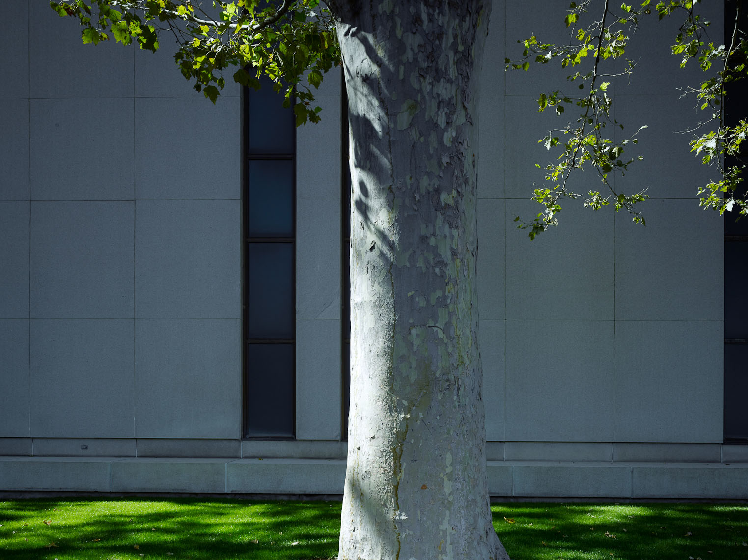 LDS_Temple_Square_048.jpg