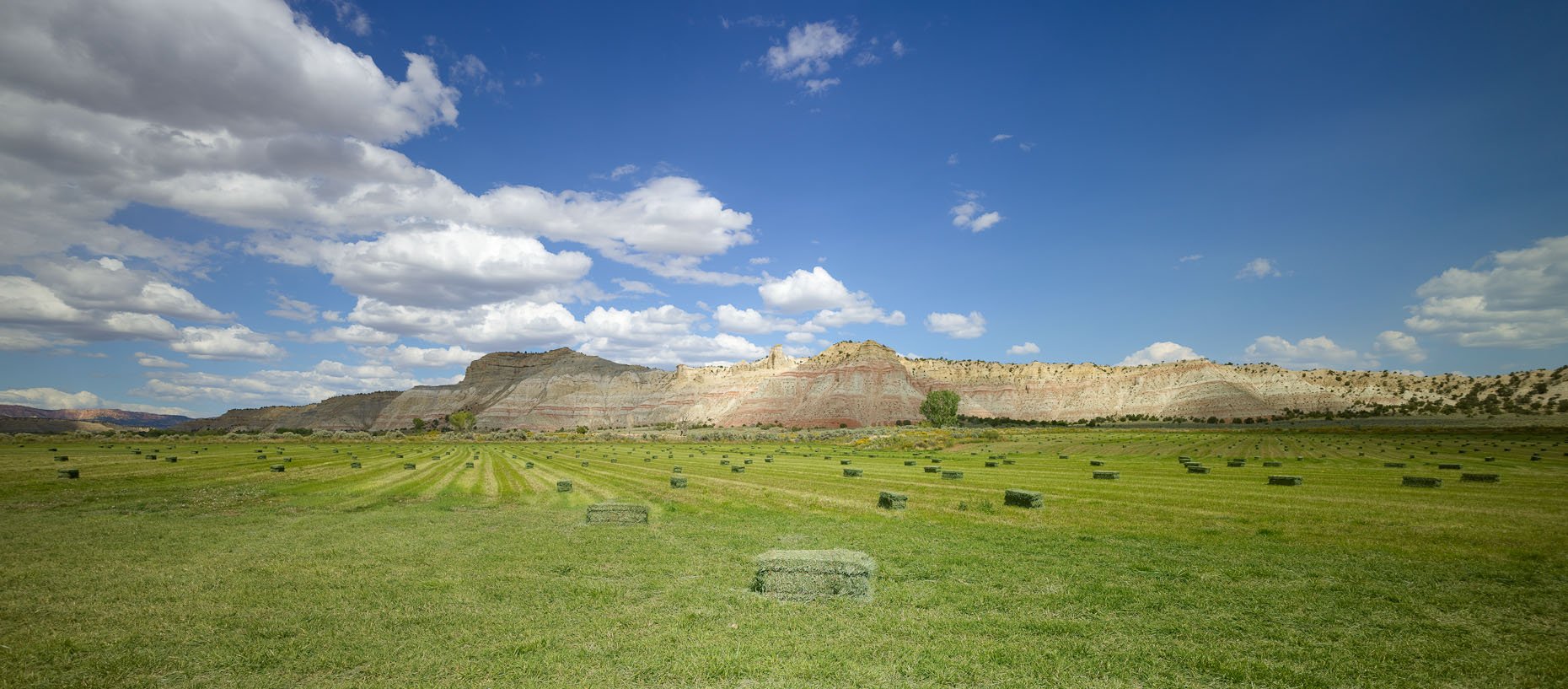 Utah_458.jpg